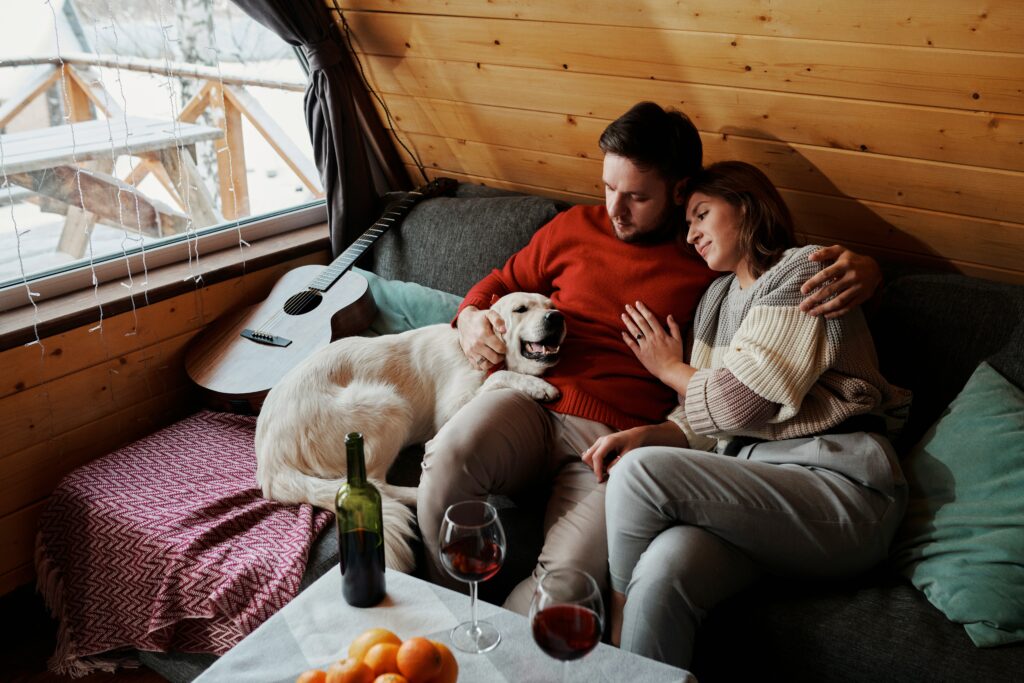 Dog Jealousy dog snuggling up with their people