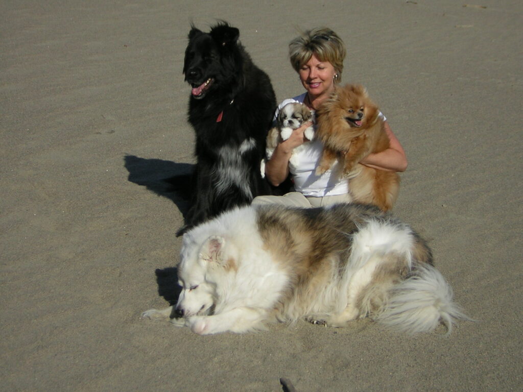 about andrea with her 4 rescue dogs