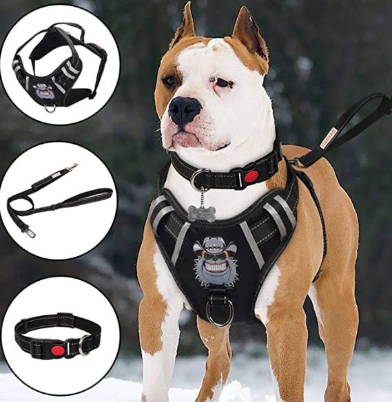 Best Escape Proof Dog Harness That Stops Pulling Too