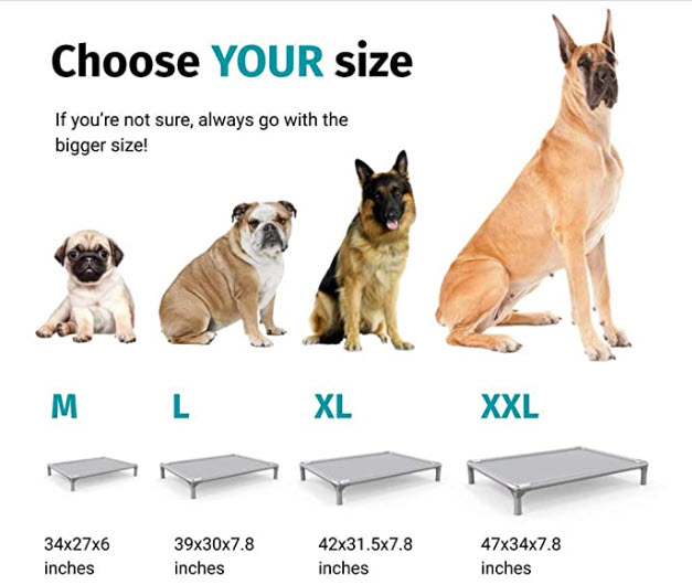 9 Indestructible Dogs Beds for Chewers and Scratchers