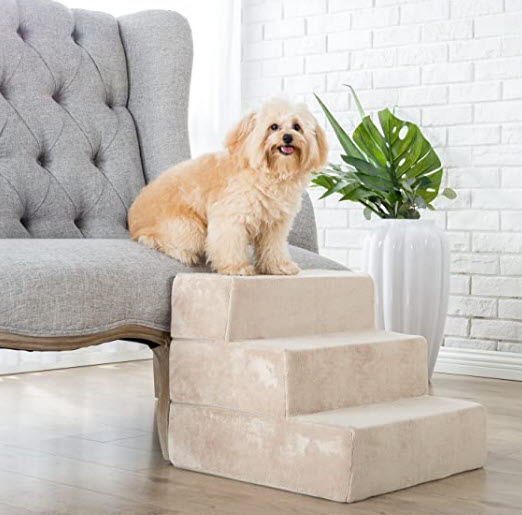Best Dog Stairs for Small Dogs