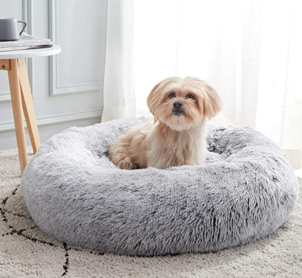 Medium Dog Beds 10 We Love!
