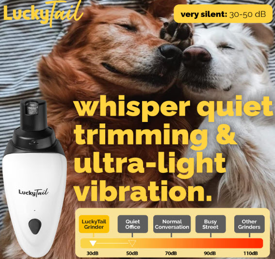Picture of DOG CARE Smart Dog Clippers Review Grooming at Home