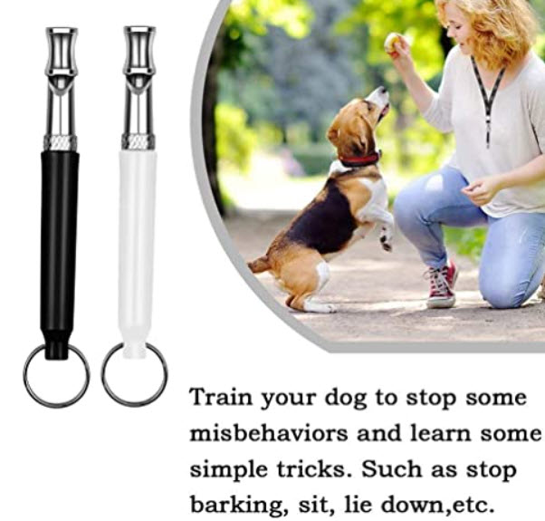 10 Best Dog Training Whistles a Treat Free Way to Train