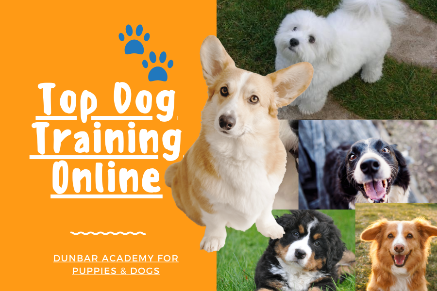 Dunbar Top Dog Online Training Academy Review