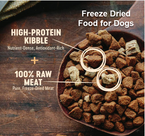 A Beginner's Guide to Freeze Dried Food for Dogs